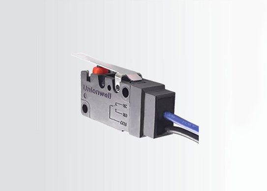 Waterproof Micro Switch G5W11